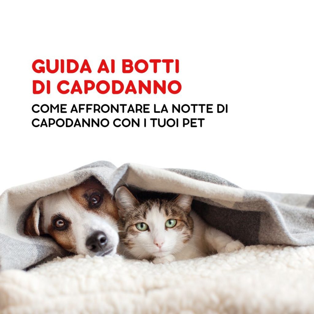 come proteggere cani e gatti dai botti di capodanno