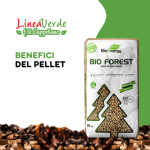 benefici pellet