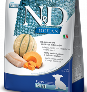 N&D FARMINA Cod, Pumpkin and Cantaloupe Melon Puppy Mini 2,5kg